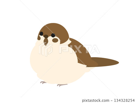 Cute vector illustration of a round, puffy sparrow looking sideways 134328254