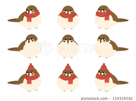 Cute vector illustration set of a round, puffy sparrow in winter (scarf and knitted hat) 134328582