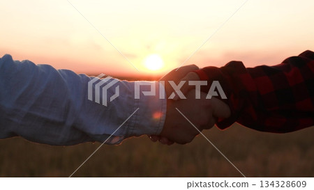 solidarity, insurance, team, together, handshake field, growing, men at work, symbolizes partnership agreement, agriculture, plantation, future, lifestyle handshake workers field wheat sunset, person solidarity, insurance, team, together, handshake field, growing, men at work, symbolizes partnership agreement, agriculture, plantation, future, lifestyle handshake workers field wheat sunset, person 134328609
