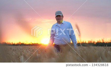 farmer wheat field sunset. work business farmer agronomist golden wheat field, farmer work digital tablet wheat field sunset. concept agriculture. farmer hand touching wheat sunset. agriculture hand 134328618
