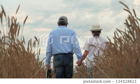 agriculture, wheat field, golden wheat farm field sunset, farmer walks with child kid daughter by hand through wheat field, man walks child kid daughter by hand through wheat field, farmer agronomist 134328621