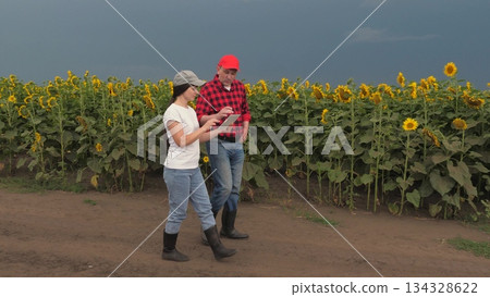 Agriculture, teamwork, business partner farmer agriculture, handshake sign of deal, harvest, fresh soil grow crops, two farmers digital tablet inspecting sunflower field, yellow flowers field Agriculture, teamwork, business partner farmer agriculture, handshake sign of deal, harvest, fresh soil grow crops, two farmers digital tablet inspecting sunflower field, yellow flowers field 134328622