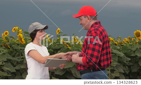 Agriculture, teamwork, business partner farmer agriculture, handshake sign of deal, harvest, fresh soil grow crops, two agronomists working field sunflower wheat, business partner farmer agriculture 134328623