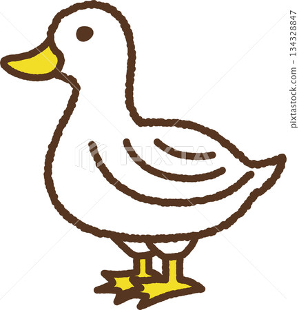 Hand-drawn animal icon illustration: duck 134328847