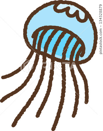 手繪生物圖示插圖：水母 134328879