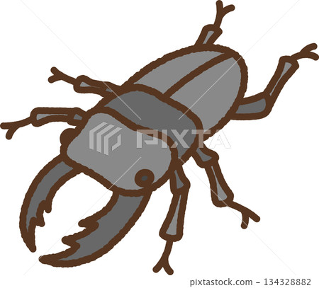 Hand-drawn creature icon illustration: Stag beetle Hand-drawn creature icon illustration: Stag beetle 134328882