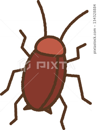 手繪生物單圖示插圖：蟑螂 134328884