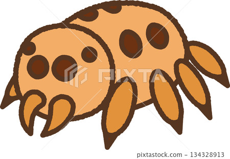 手繪生物單圖示插畫 跳蛛 手繪生物單圖示插畫 跳蛛 134328913