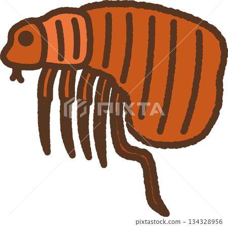 手繪生物單圖示插圖:跳蚤 手繪生物單圖示插圖:跳蚤 134328956