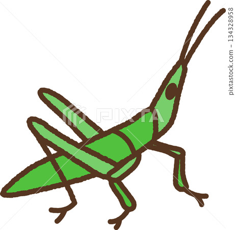 手繪生物圖示插圖：短蚱蜢 134328958