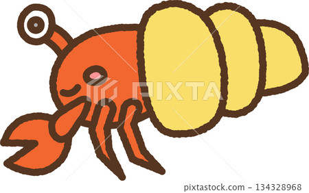 手繪生物圖示插圖：寄居蟹 134328968