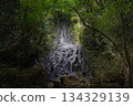 Unnamed Waterfall, Kamimashiki District, Kumamoto Prefecture 134329139