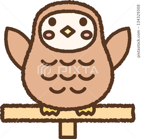 手繪動物圖示插圖：貓頭鷹 134329308