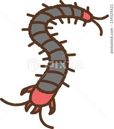 Hand-drawn creature icon illustration: centipede Hand-drawn creature icon illustration: centipede 134329321