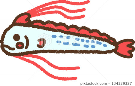 手繪生物圖示插圖:皇帶魚 手繪生物圖示插圖:皇帶魚 134329327