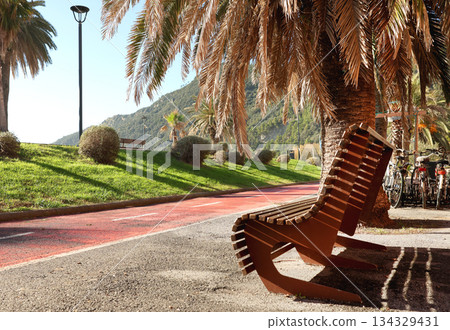 Palm trees and bench in park on seashore near mountains in sunny day. Nature in resort town, Italy. Blue sky, background for design. Palm trees and bench in park on seashore near mountains in sunny day. Nature in resort town, Italy. Blue sky, background for design. 134329431