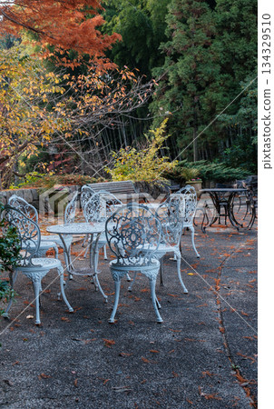 須磨離休公園日式庭園中的秋葉和桌子 須磨離休公園日式庭園中的秋葉和桌子 134329510