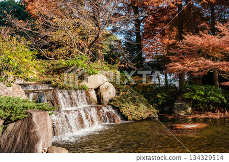 Autumn leaves and pond at Suma Rikyu Park in Kobe 134329514
