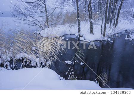 白雪皚皚的冬日湖畔 白雪皚皚的冬日湖畔 134329563