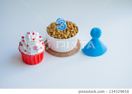 cat care concept with cake and food with birthday anniversary cat care concept with cake and food with birthday anniversary 134329658