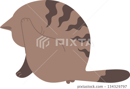 Brown tabby cat sitting back view 134329797