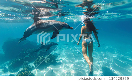 Woman Snorkeling with Wild Dolphins Over a Shallow Coral Reef and Sandy Bottom 134329829