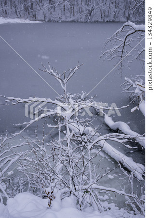 積雪覆蓋的木頭 積雪覆蓋的木頭 134329849