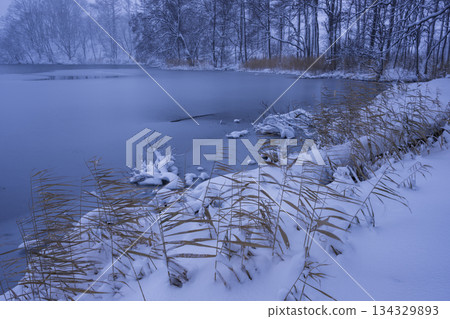 福島縣賁磐台，冬日清晨，皚皚白雪覆蓋。 134329893