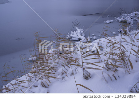 湖面上倒映的森林 134329894