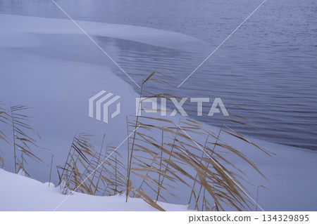 冬季景色倒映在湖面上 134329895