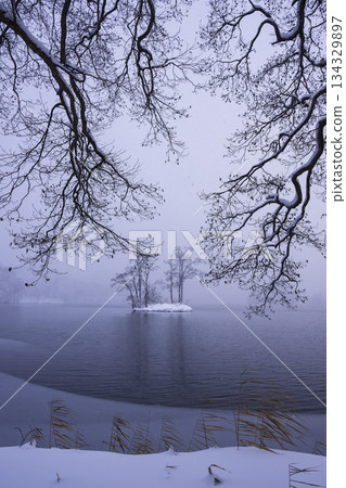 籠罩在薄霧中的夢幻湖畔景色 134329897