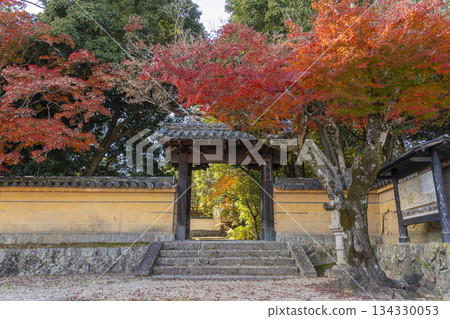 秋筱宮東門秋葉景 134330053