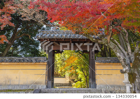 Akishino-dera Temple East Gate Autumn leaves season 134330054