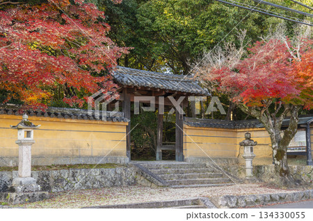 秋筱宮東門秋葉景 134330055