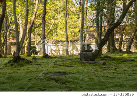 秋筱宮寺美麗的苔蘚庭園在秋季紅葉季 134330059