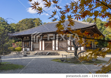 秋筱之寺正殿秋葉景 秋筱之寺正殿秋葉景 134330066