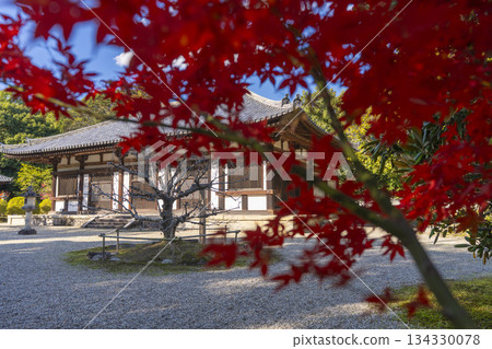 秋筱之寺正殿秋葉景 134330078