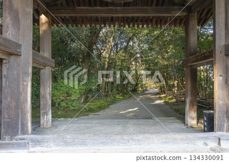 秋筱宮南門秋葉景 秋筱宮南門秋葉景 134330091