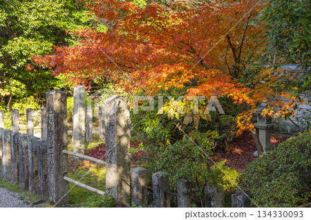 秋筱寺、甲州閣、秋葉季節 134330093