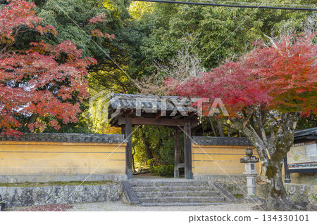 Akishino-dera Temple East Gate Autumn leaves season Akishino-dera Temple East Gate Autumn leaves season 134330101
