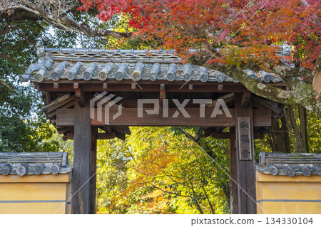 Akishino-dera Temple East Gate Autumn leaves season Akishino-dera Temple East Gate Autumn leaves season 134330104