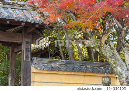 Akishino-dera Temple East Gate Autumn leaves season Akishino-dera Temple East Gate Autumn leaves season 134330105