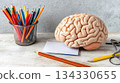 Brain model logical thinking process for education. 134330655