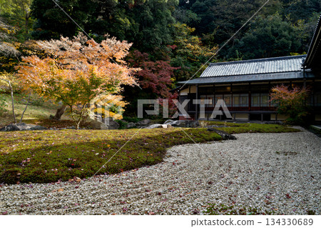 A temple surrounded by autumn leaves 134330689
