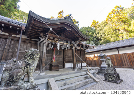 Yashogoryo Shrine (Akishinocho, Nara City, Nara Prefecture) 134330945