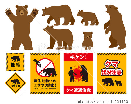 Bear set_Brown bear 134331150