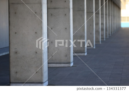Consecutive exposed concrete pillars 134331377