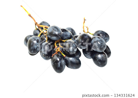 Two bunches of blue grapes. 134331624