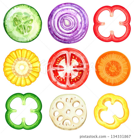 色彩繽紛的蔬菜切片水彩插圖 134331867