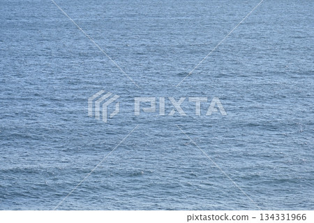 藍色的大海，水面，冬天的大海，十二月的素材 [神奈川縣三浦市] 134331966
